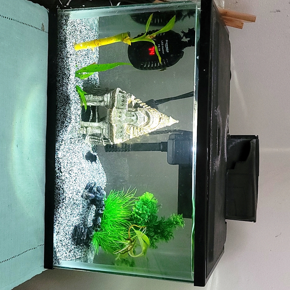 4 Gallon Tank